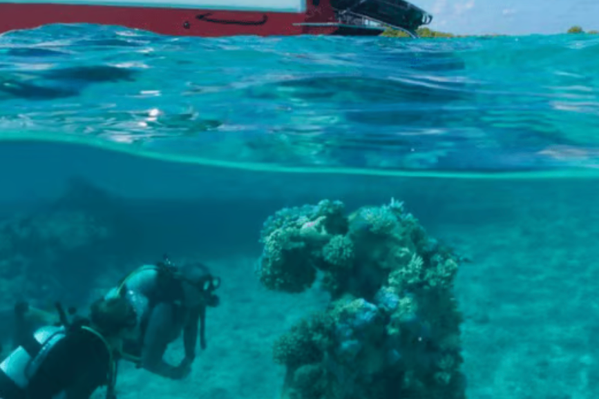 🌺 Boating in French Polynesia: A Sailor’s South Pacific Dream