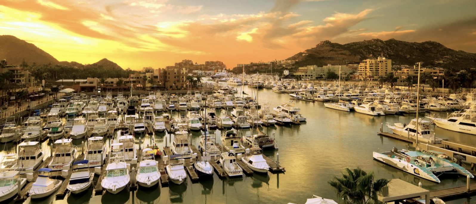 ⛵ Boating to Cabo San Lucas: The Gateway to Baja’s Beauty