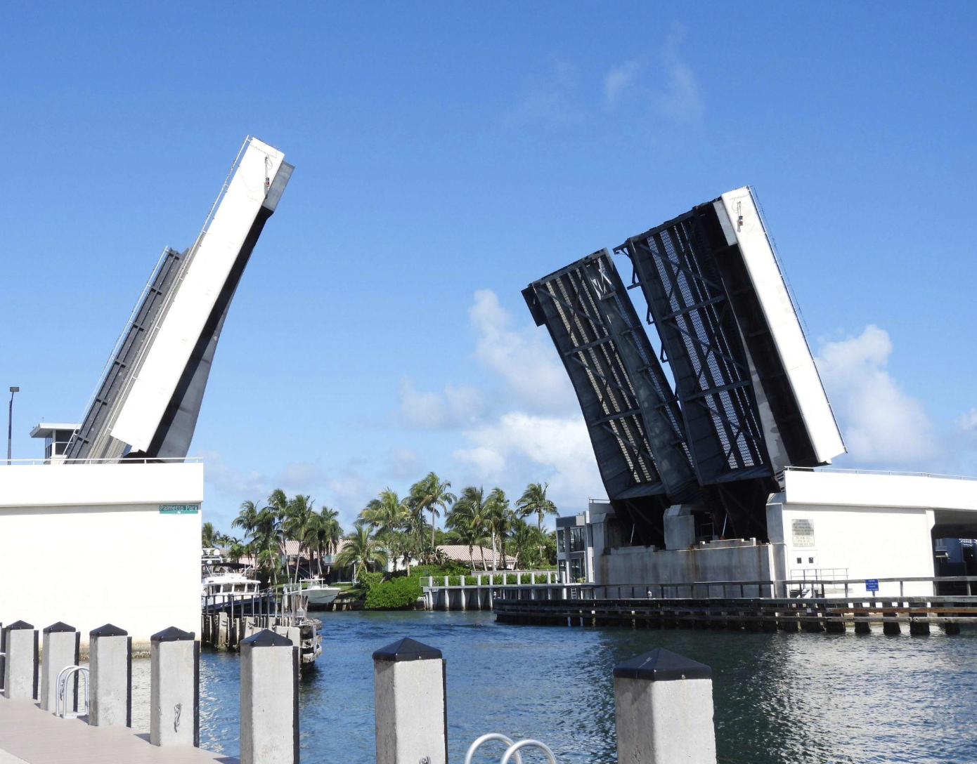 How to Communicate with Bridge Operators (Opening Requests Explained)