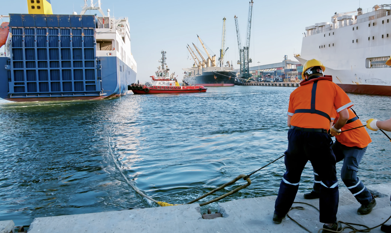 The Importance of Professional Profiles for Commercial Crew