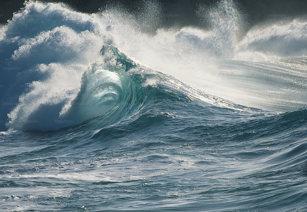 🤢 Getting Seasick? Here's What You Need to Know (And How to Beat It)